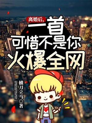 离婚后一首可惜不是你火爆全网免费