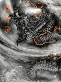 搜异录 邓志辉