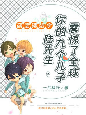 萌宝集结令:陆先生的九胞胎全文免费阅读