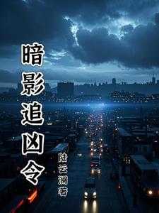 暗夜追凶不是何阳