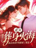 陆总追妻火葬场