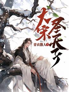 大宋天子宋神宗小说