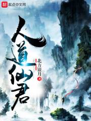 人道远征