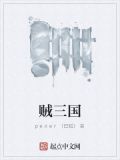 贼三国目录