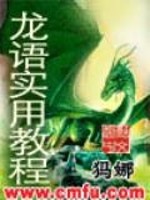 龙语实用教程