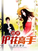 绝世护花高手百科