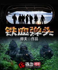 铁血弹头TXT下载