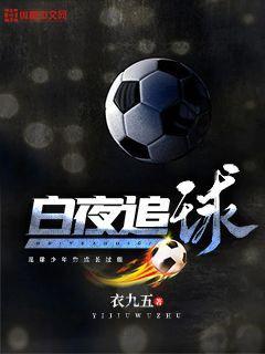 白夜追穷 结局