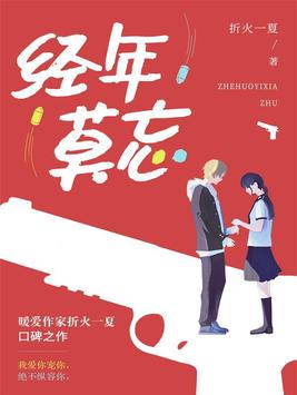 经年莫忘小说