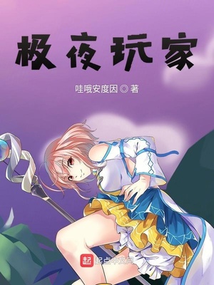 极夜玩家小说免费阅读