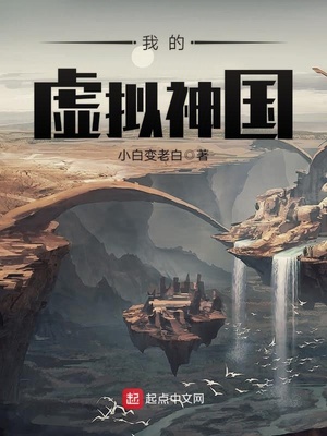 我的虚拟神国 小说