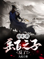 南宋：我，岳飞之子！反了！