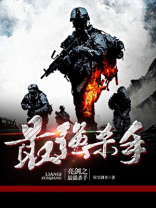 亮剑之杀手无敌