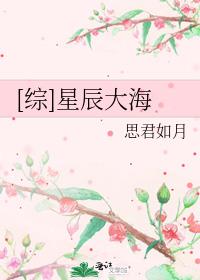 [综]星辰大海
