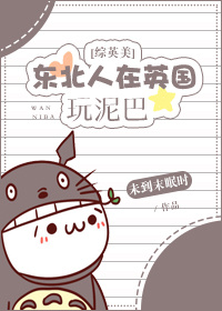 英国的东北人