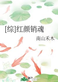[综]红颜销魂 小说