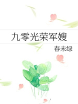 九零光荣军嫂免费全文阅读txt