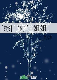 哪有姐姐好