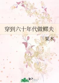 穿到六十年代做鳏夫晋江