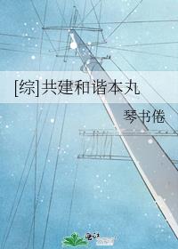 [综]共建和谐本丸txt