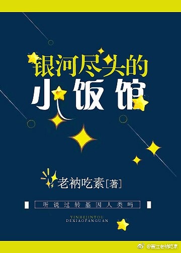 银河尽头的小饭馆无防盗章