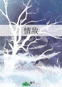 情敌怎么形容