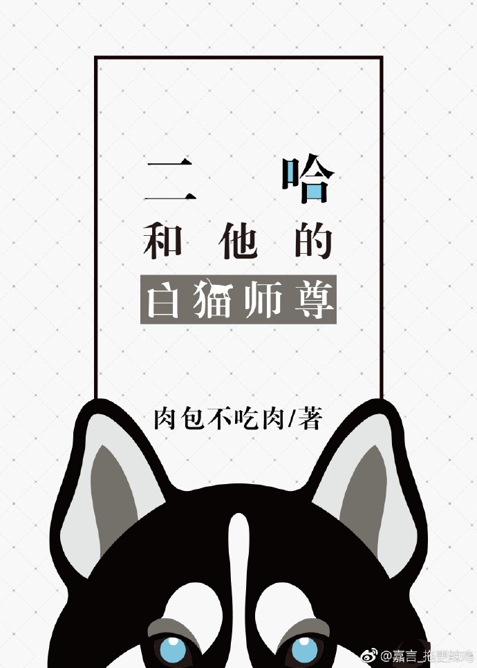 二哈和他的白猫师尊小说完整版