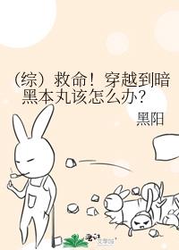 综救命穿越到暗黑本丸该怎么办TXT