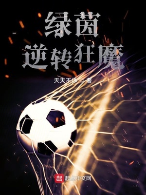 绿茵逆转狂魔123读TXT