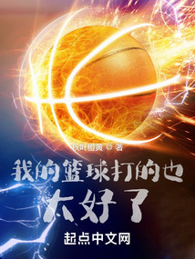 我的篮球打的也太好了起点