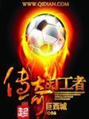 传奇打工者类似的小说