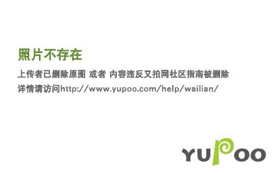 我的道侣天下第一TXT