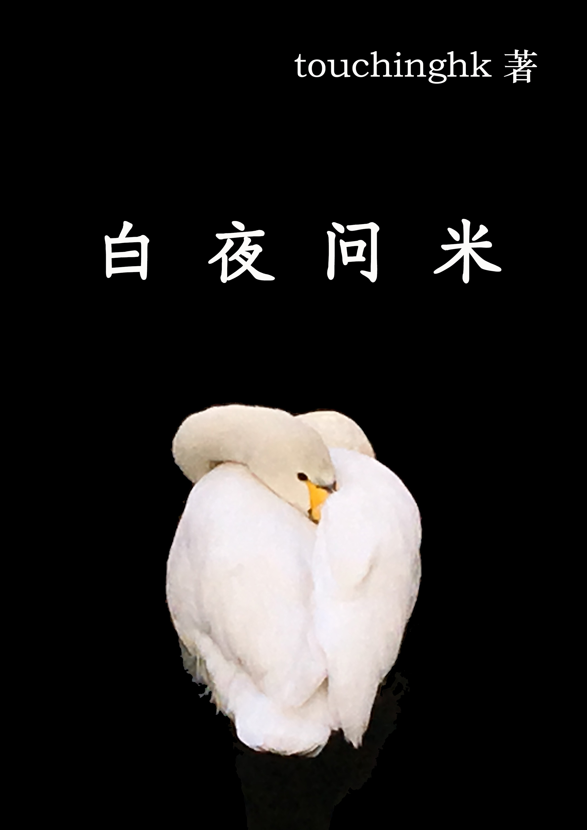 白夜问米小说