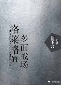 格来格多面战场小说