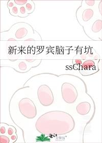新来的罗宾脑子有坑 ssChara