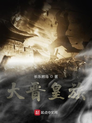 大晋皇族起点小说