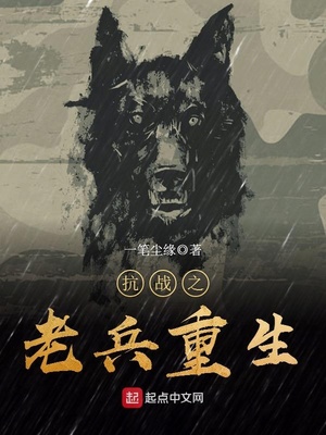 抗战之老兵重生正版 一笔尘缘