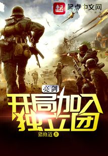 亮剑开局加入独立团喜马拉雅