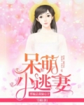邪魅总裁偷心计：呆萌小逃妻