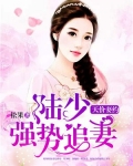 天价妻约：陆少强势追妻
