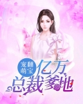 宠翻萌宝，亿万总裁爹地