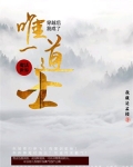 穿越魔法世界：我成了唯一道士