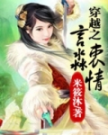 穿越在囧途之言淼衷情