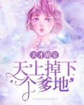 天才萌宝：天上掉下个爹地
