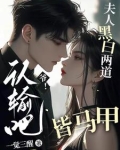 爷！认输吧，夫人黑白两道皆马甲