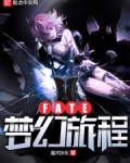 Fate梦幻旅程