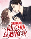 携宝归来后，陆总他总想撩我