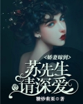 娇妻嫁到：苏先生请深爱