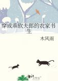 穿成乖软夫郎的农家书生